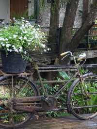 Proud Cafe: The Dreamy Riverside Hideout in Mae Kampong