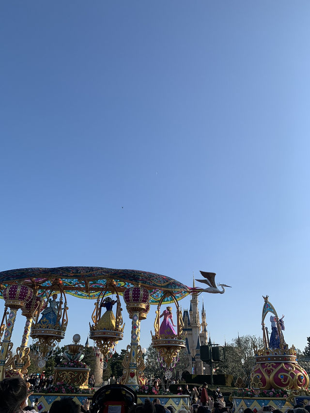 【東京🇯🇵】ディズニーランドで夢の時間を✨⭐️