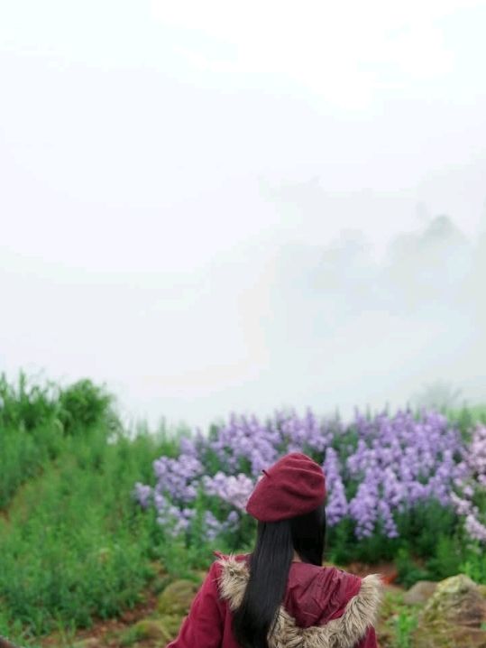 ยิ่งยงสวนดอกไม้บนยอดเขา