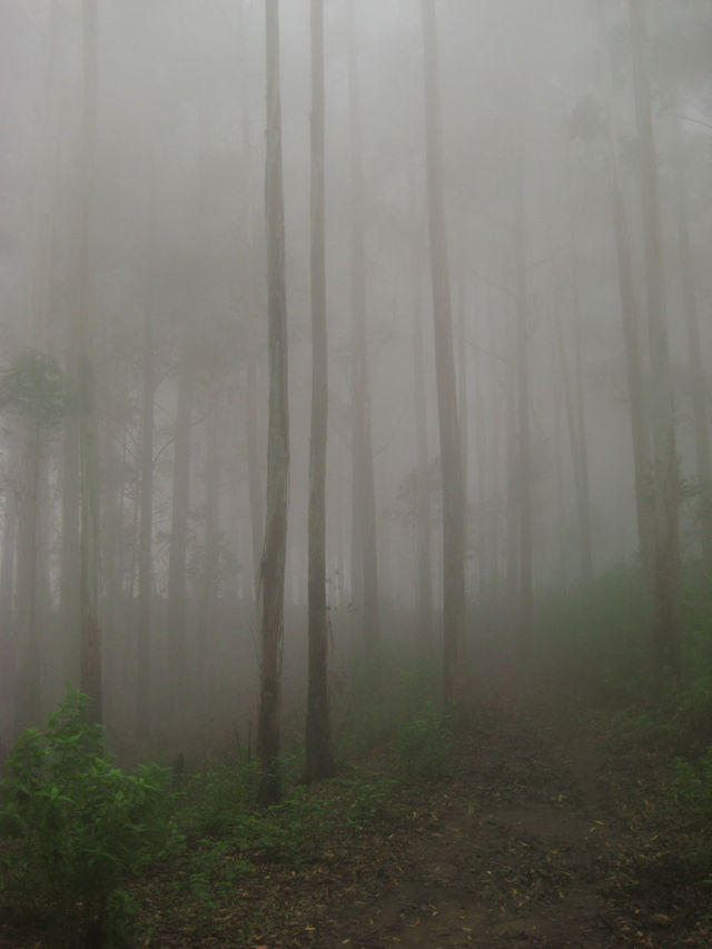 4-Day itinerary for Ella, Sri Lanka 