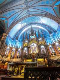 ⛪【光と祈りの空間へ！ノートルダム聖堂で心が震える瞬間】