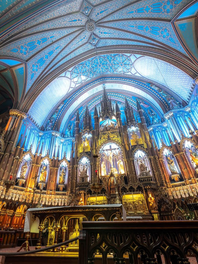 ⛪【光と祈りの空間へ！ノートルダム聖堂で心が震える瞬間】