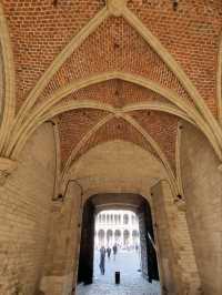 Gilded Showstoppers: A Whirl Around Brussels’ Grand Place!