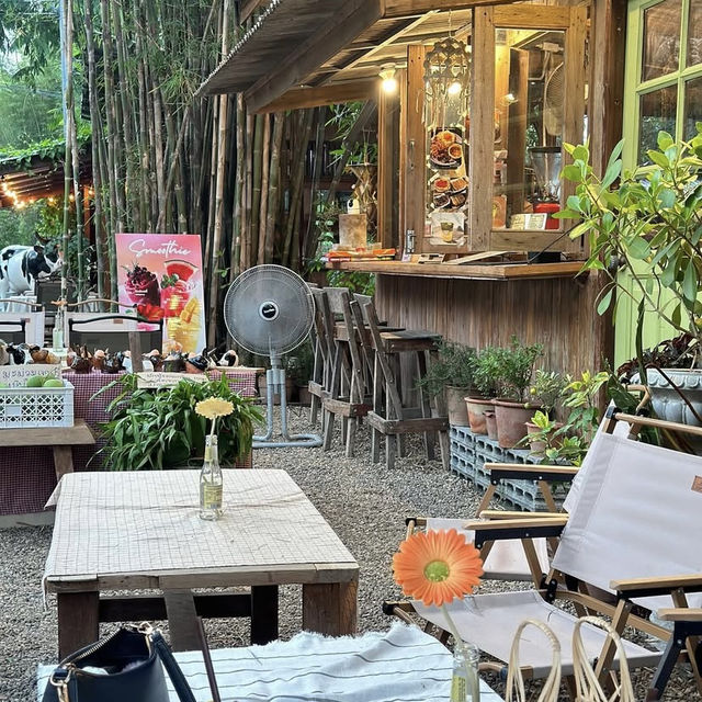 🌲 Yoo Pha – อยู่ป่า 