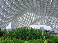 Apec Park ในดานัง✨️