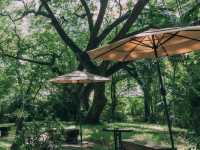 คาเฟ่มัทฉะในสวนสไตล์ญี่ปุ่น ย่านบางขุนนนท์ 🍵🌳