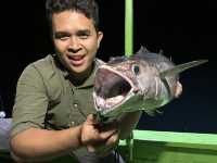 Great fishing Trip Labuan Bajo
