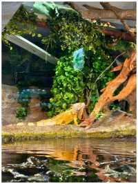 【東京/池袋】池袋ど真ん中！都会で楽しめサンシャイン水族館