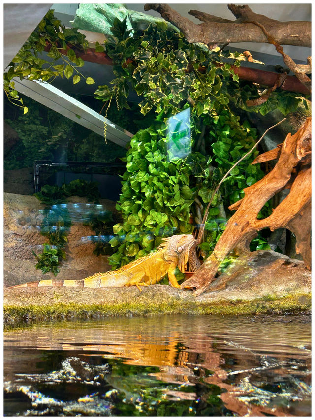 【東京/池袋】池袋ど真ん中！都会で楽しめサンシャイン水族館