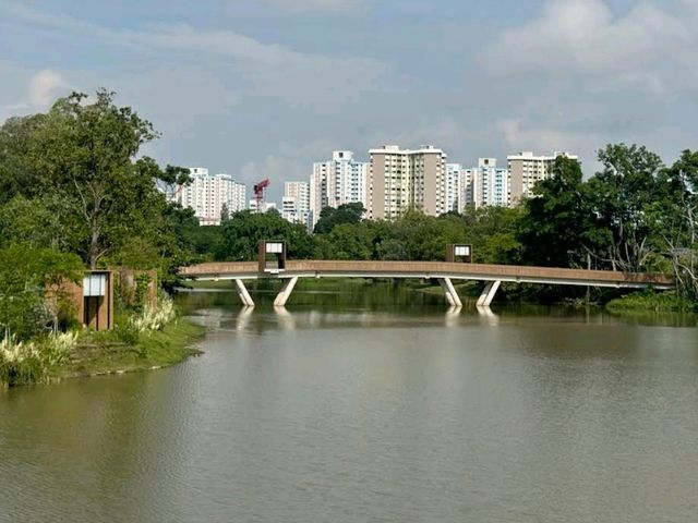 Jurong Lake Gardens (Free & tranquil)