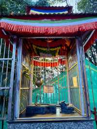 【インド・ダージリン Mahakal Temple】ヒンドゥーと仏教が共存するダージリンの聖地
