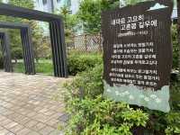 수풀공원의 꽃들