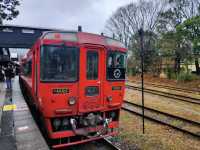 My Journey on the Yufuin no Mori and a Relaxing Day in Yufuin! 🚂♨️