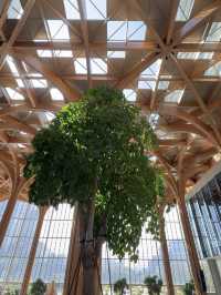 Why Geneo Might Be the Most Beautiful Mall in the West