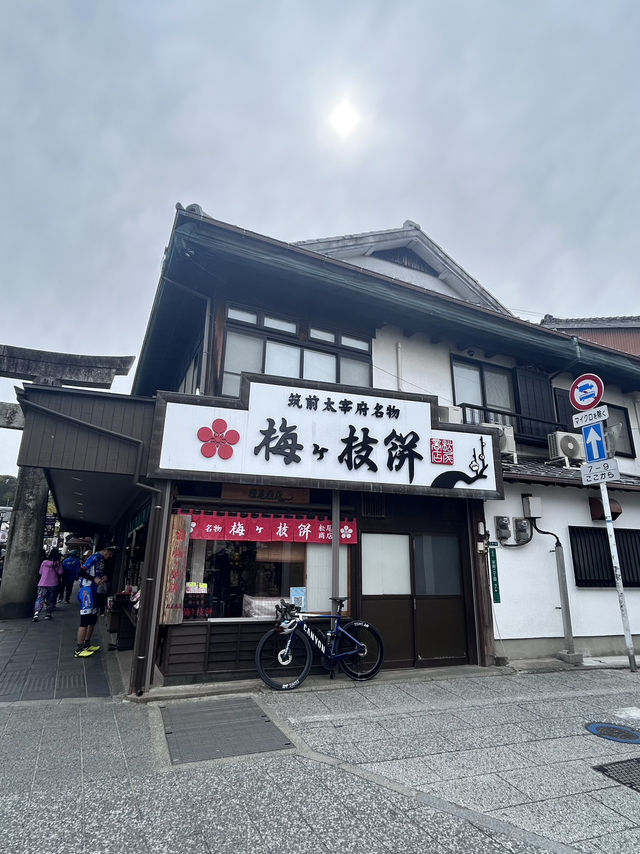 2025年4月初福岡追櫻之旅