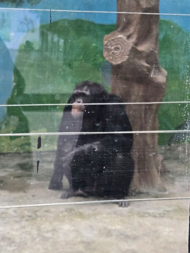 廣州动物园