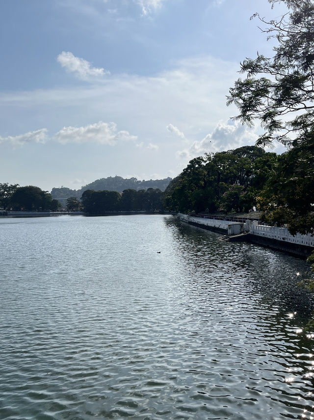 🏞️🇱🇰 Sigiriya + Dambulla Day Trip – Sri Lanka’s Ancient Wonders in One Day