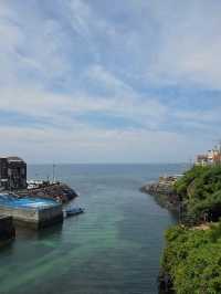 🌈 제주도 필수코스