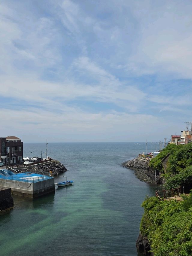 🌈 제주도 필수코스