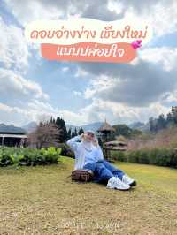 ดอยอ่างข่าง เชียงใหม่ 