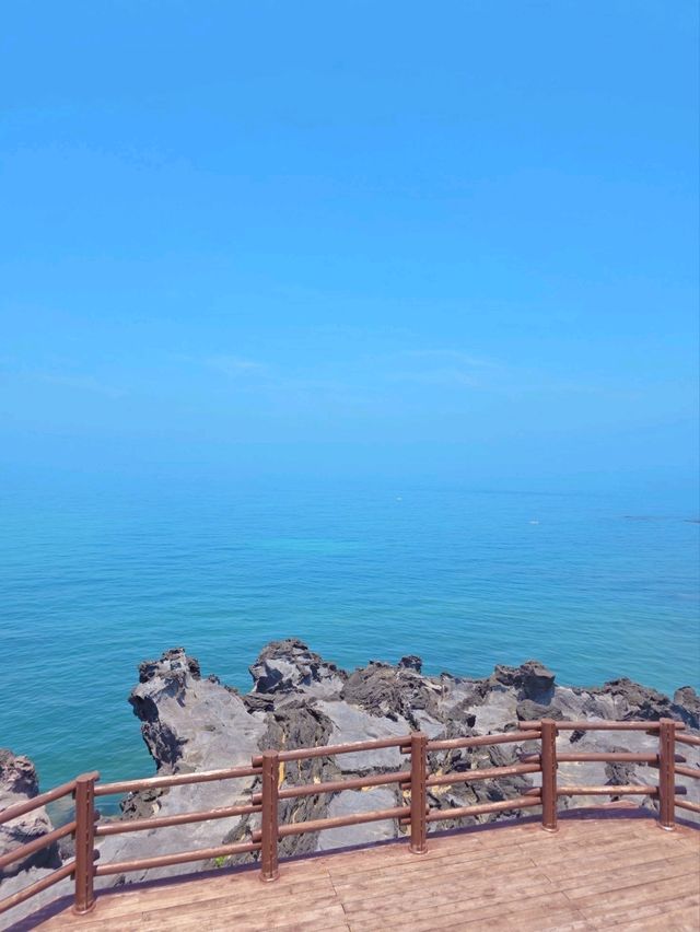 동쪽 여름 가이드🐬
