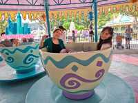 Mad Hatter tea cups 