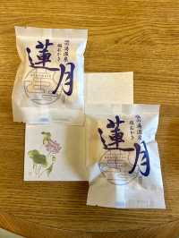 《那須塩原/宿》スロープカーで行く、隠れ温泉宿♨️