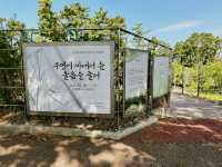 ✍️ 4.3 도령마을