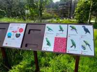 Splash into colors at Crimson Wetlands!