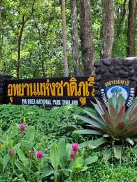 หินเต่า ประติมากรรมทางธรรมชาติ