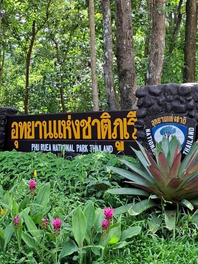 หินเต่า ประติมากรรมทางธรรมชาติ
