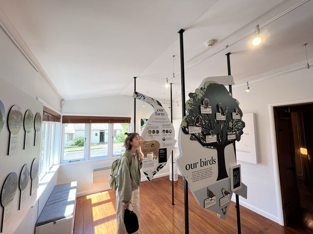 紐西蘭超讚景點—🏛 Cornwall Park Museum｜從歷史小屋到城市綠洲的時光之旅