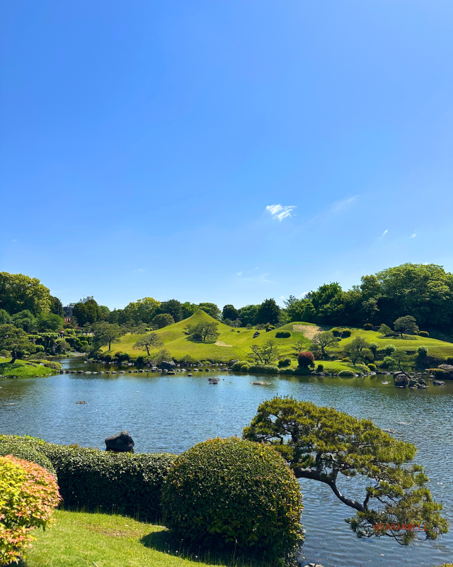 [Japan 🇯🇵] Suizenji Jojuen Koen: A Slice of Edo-Era Serenity in Kumamoto!