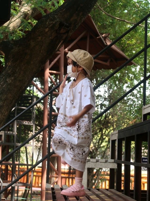 สวนสัตว์เชียงใหม่ไนท์ซาฟารี