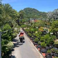 Jungle and Dinosaur Surprises at Nong Nooch