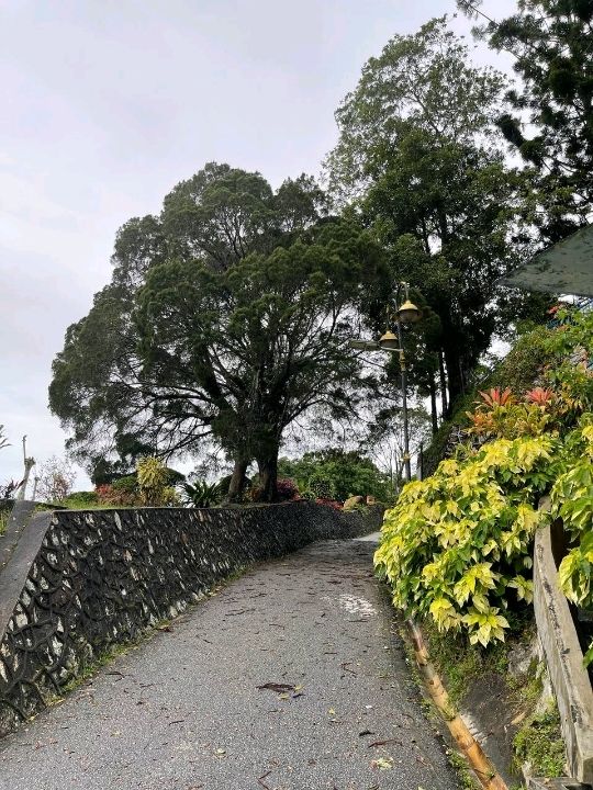 Above the City, Beneath the Trees: Explore The Habitat Penang Hill!