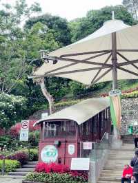 Above the City, Beneath the Trees: Explore The Habitat Penang Hill!