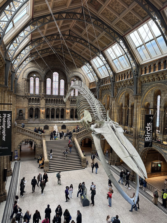 아이와 함께 가기 좋은 박물관 1위 – Natural History Museum