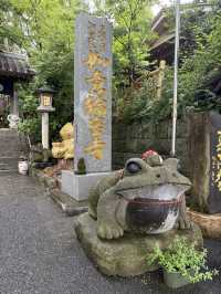 福岡旅行　一人旅