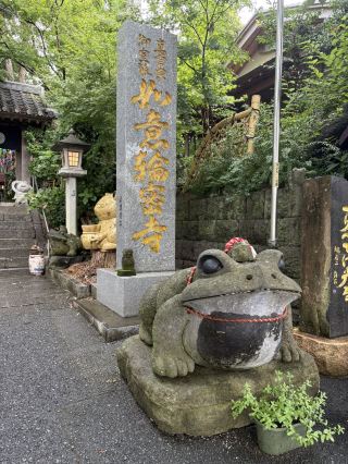 Du lịch Fukuoka - Du lịch một mình