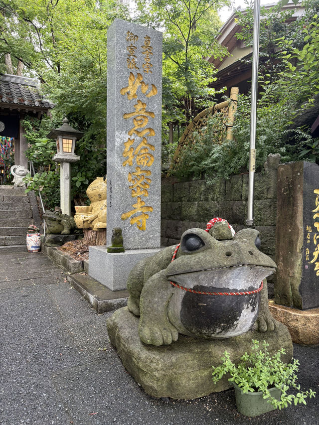 福岡旅行　一人旅