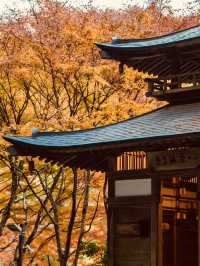 Summer Visit to Otagi Nenbutsuji Temple (愛宕念仏寺) – Kyoto’s Whimsical Stone Buddha Haven** 🗿🌿