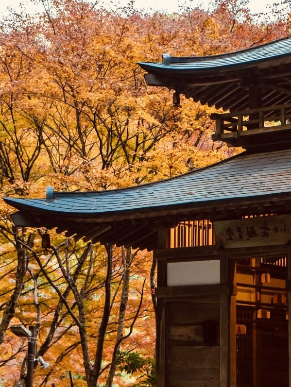 Summer Visit to Otagi Nenbutsuji Temple (愛宕念仏寺) – Kyoto’s Whimsical Stone Buddha Haven** 🗿🌿