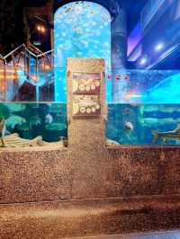 A Dive into the Deep at Aquaria KLCC