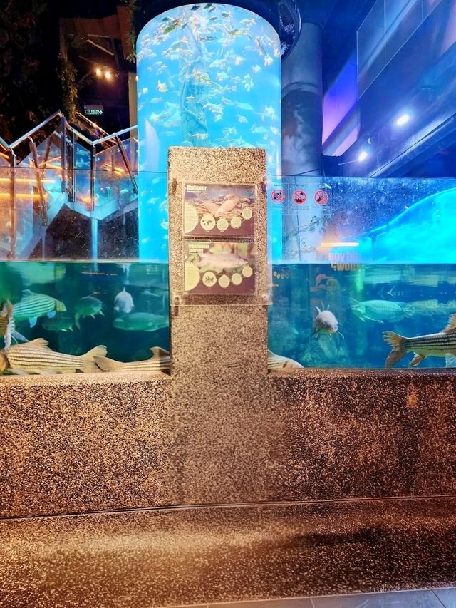 A Dive into the Deep at Aquaria KLCC
