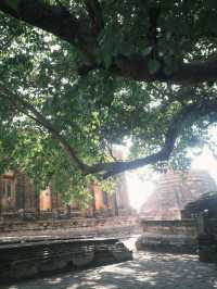 วัดกุฎีดาว อยุธยา: ซากอารยธรรมที่บอกเล่าเรื่องราว