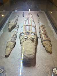 Kom Ombo Crocodile Museum: Sobek’s Retirement Home