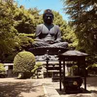 Tokyo Daibutsu: The Capital's Hidden Giant Buddha – A Solo Traveler's Serene Escape"** 🏯🙏