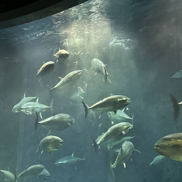 葛西臨海水族館