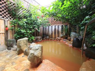 Healing Hot Spring Retreat: Hirayama Ryokan at Yunomoto Onsen